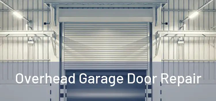  Overhead Garage Door Repair 